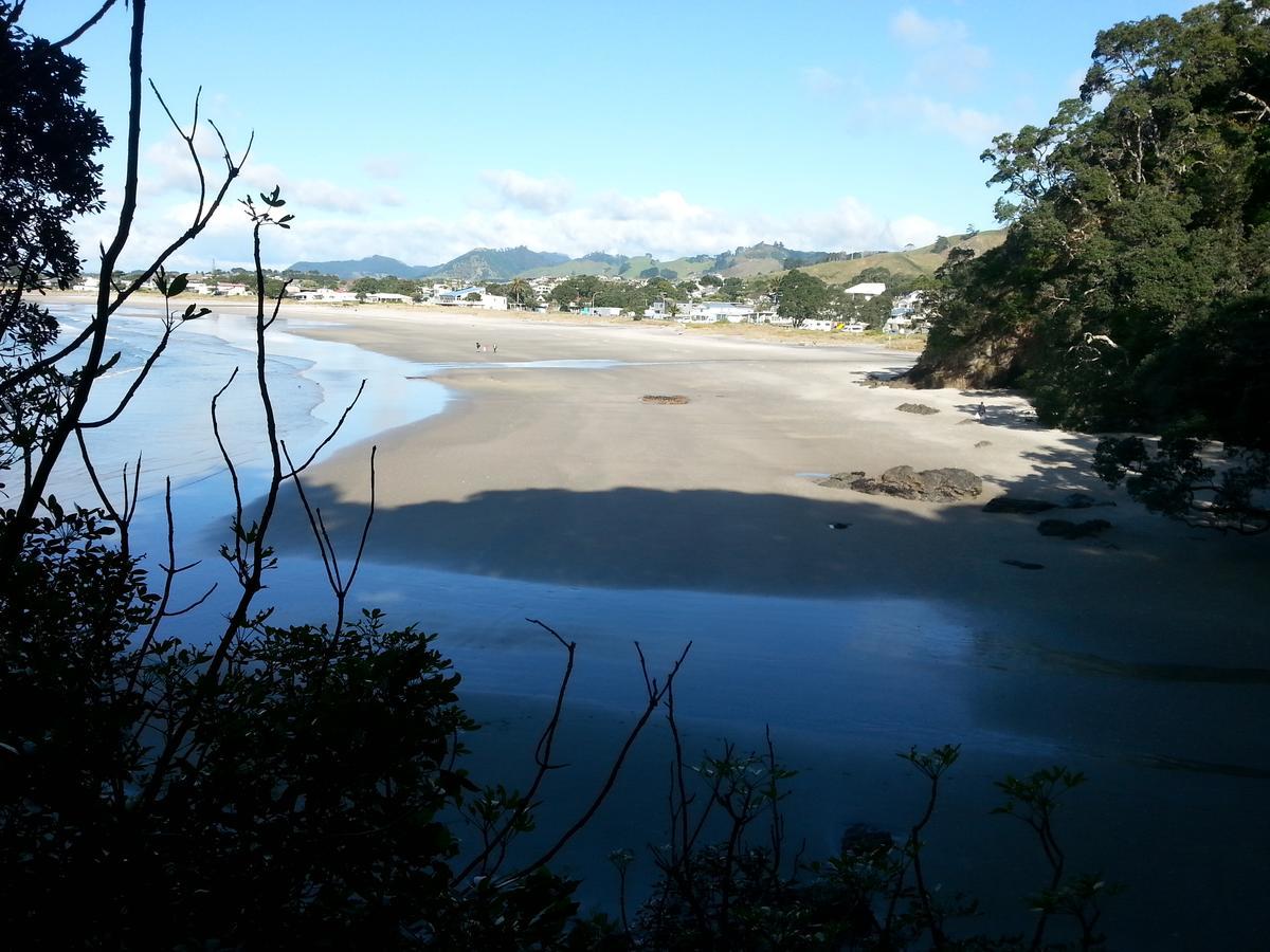Kotare Ridge Bed & Breakfast Waihi Dış mekan fotoğraf